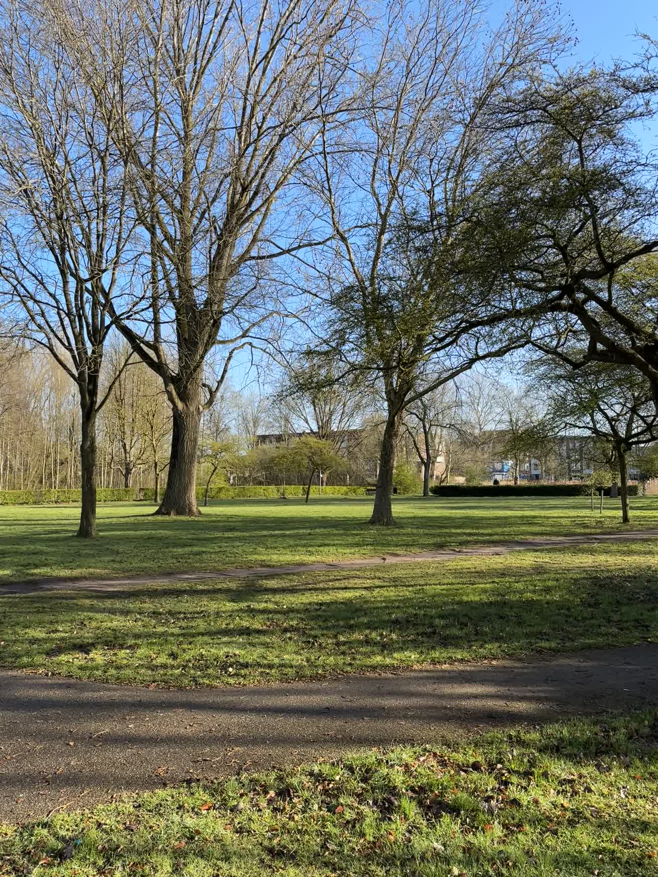 Groene omgeving of park in de buurt van de bed and breakfast